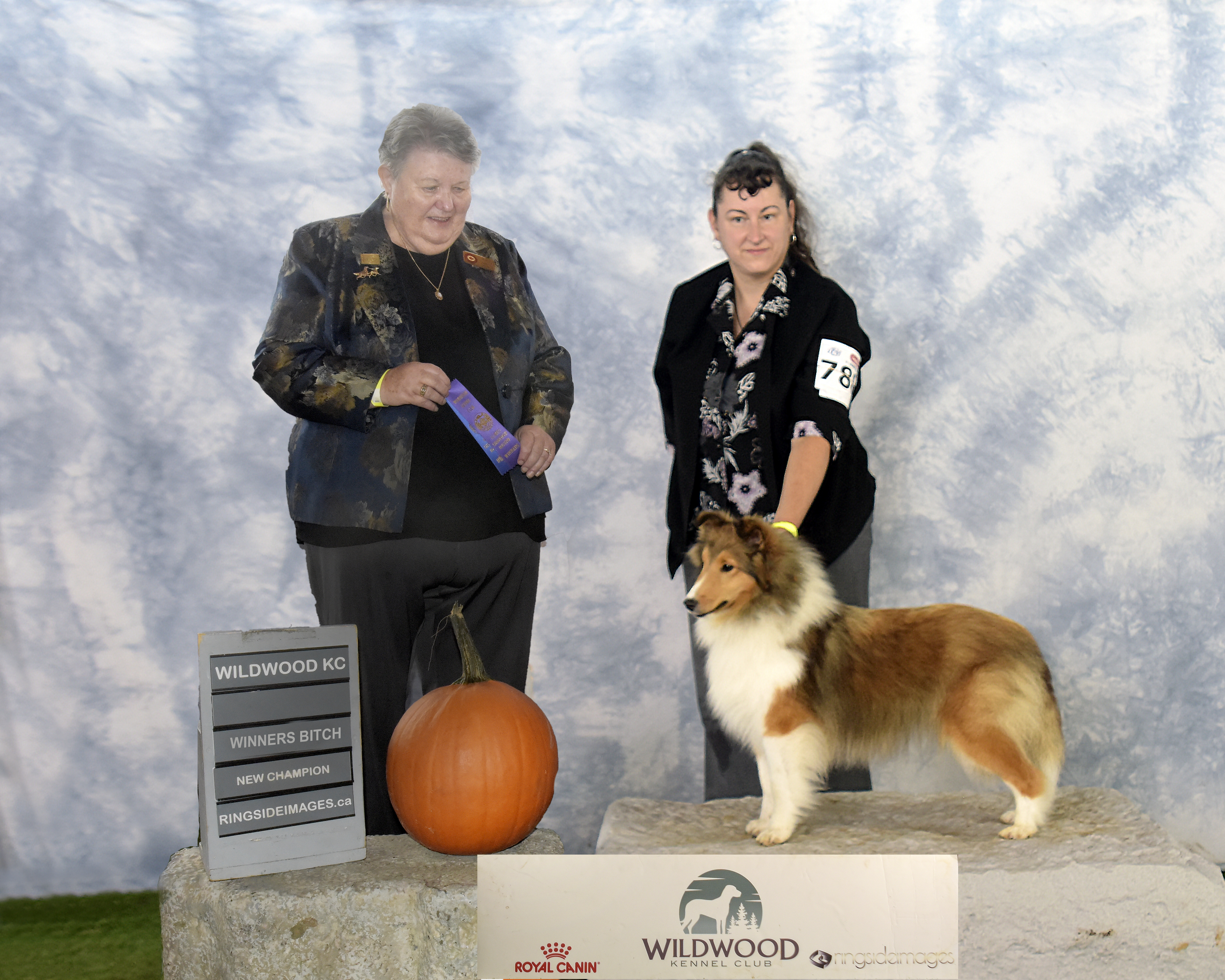 Brie 16 months old Show picture.