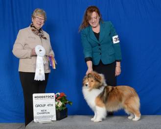 Canrosea Rush championship.jpg